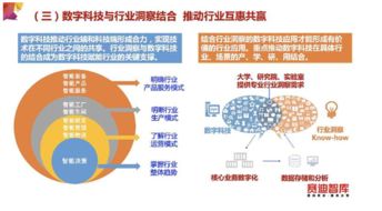 数字科技与传统产业共建共赢——网络技术服务的新篇章